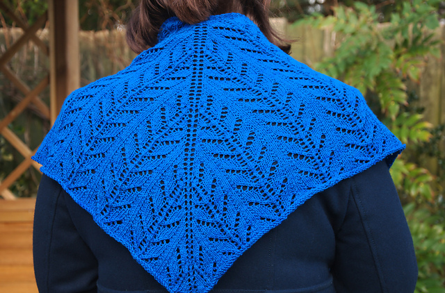 Moth Shawl