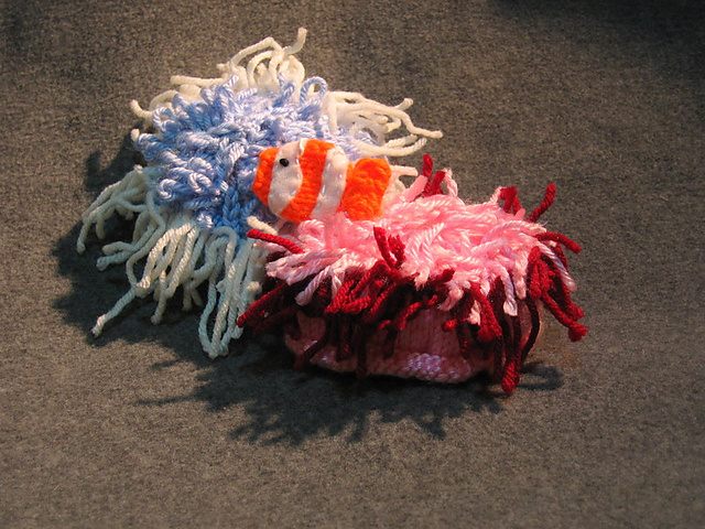 Sea Anemone