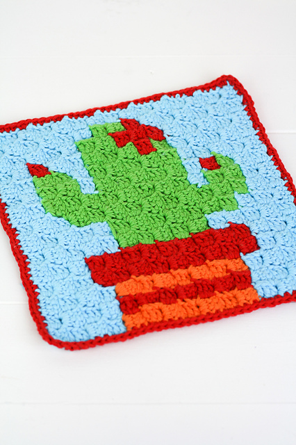 Cactus Graph