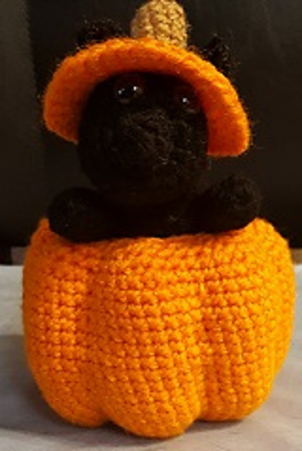 Pepper in a Pumpkin
