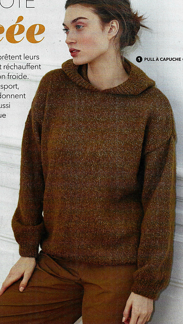 # 01 Pull à capuche