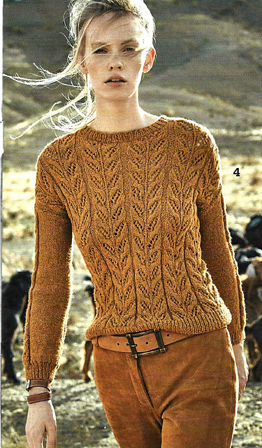 # 04 Pull motif de feuilles