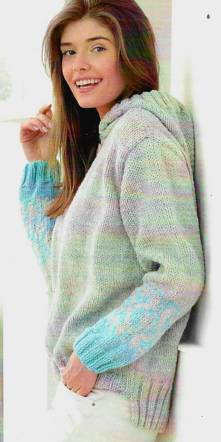 # 23 Sweat à manches jacquard