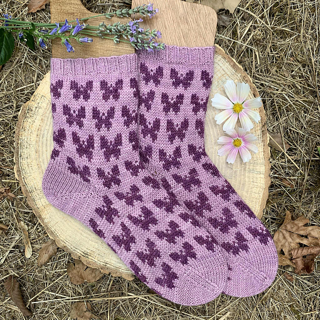 Chaussettes Tallula