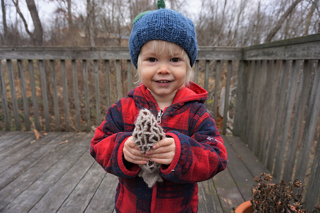 Morel Season