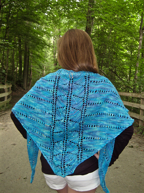Barbara Rose's Shawl