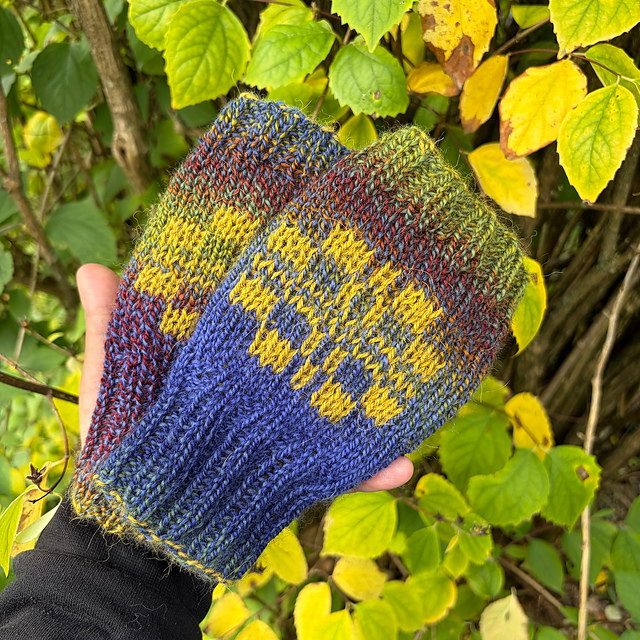 Knit Wrist warmers Katpedeles