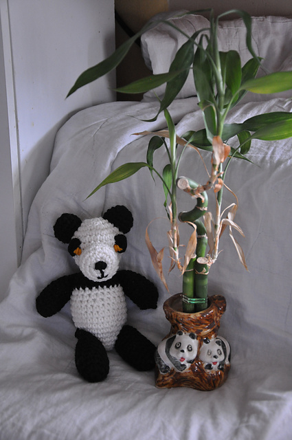 baby panda