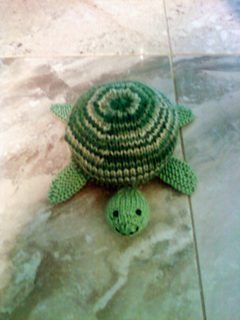 happy sea turtle 