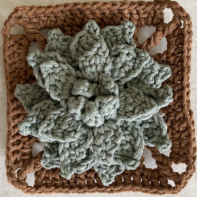 Succulent Granny Square - Round Petals