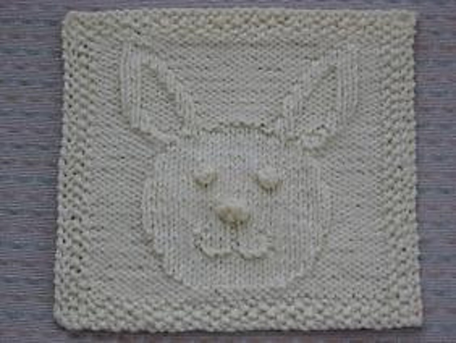 Cottontail the Bunny