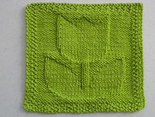 Tulip