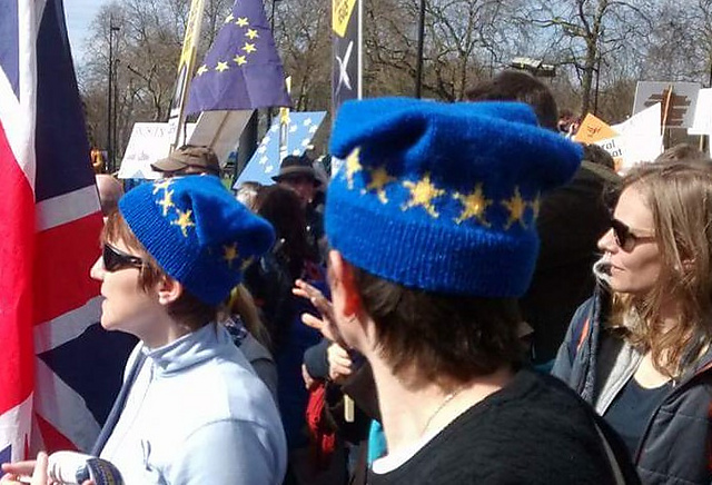 EU beanie (with added pussyhat version)