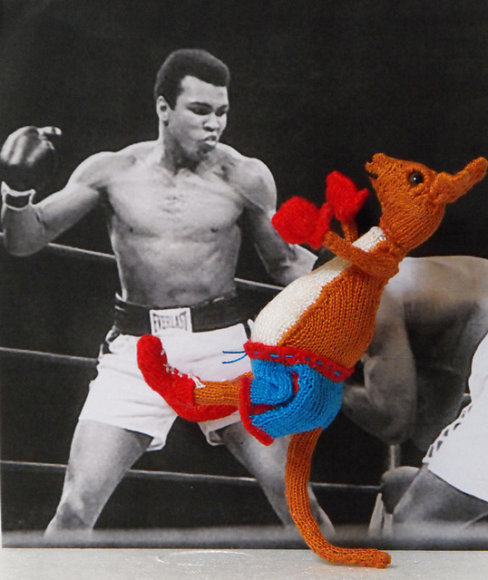 BOBBY THE BOXING KANGAROO
