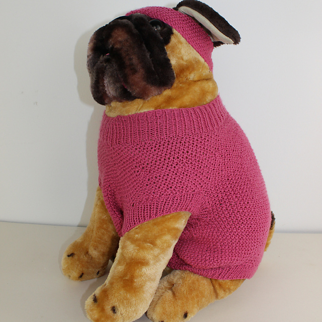 Dog Moss Stitch Coat and Headband