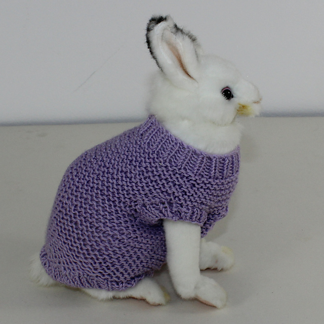 Bunny Kitten Puppy Onesie