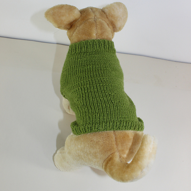 Dog Coat Circular