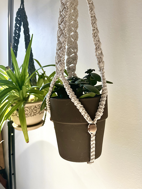 Plant Hanger