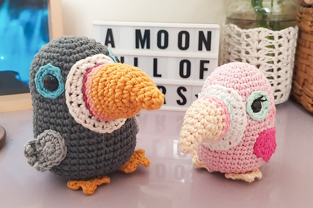 Tammy the toucan