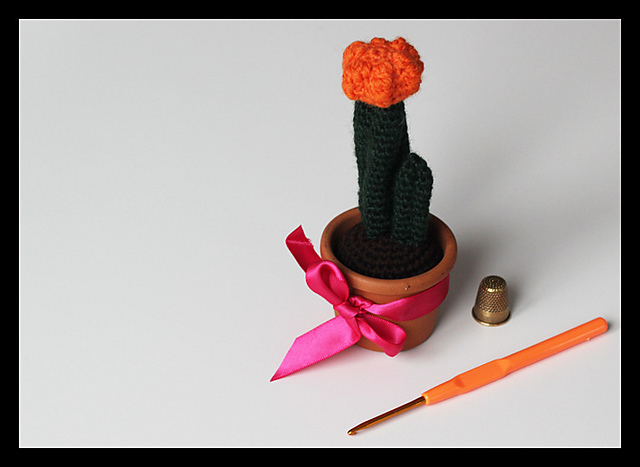 Orange cactus