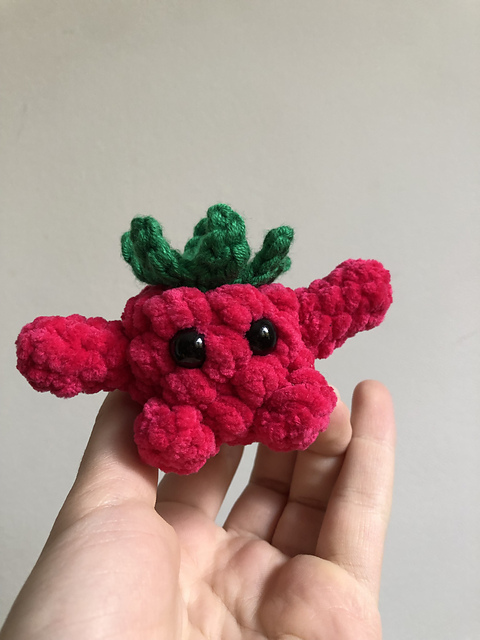 Mini Raspberry