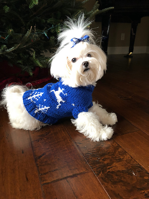 Winter Wonderland Christmas Dog Sweater