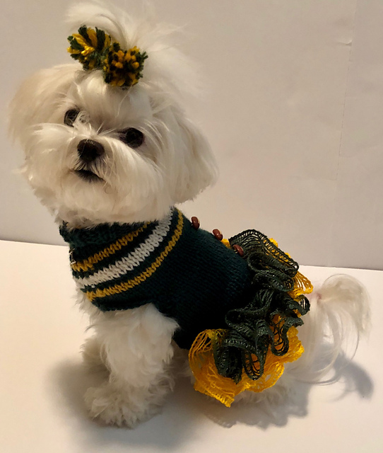Football Cheerleader  Doggie Dress