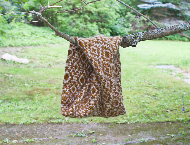 Eagle Eye Cowl