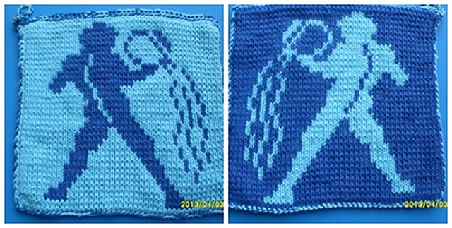 DF-Topflappen Wassermann