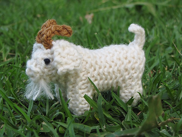 Nativity Goat