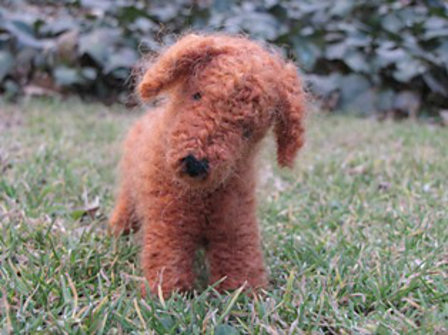 Dachshund Dog