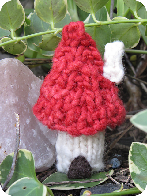 Fairy Home Mushroom