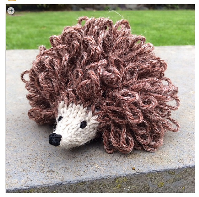 Henrietta the Hedgehog