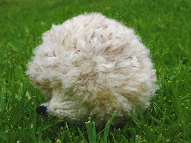Hedgehog