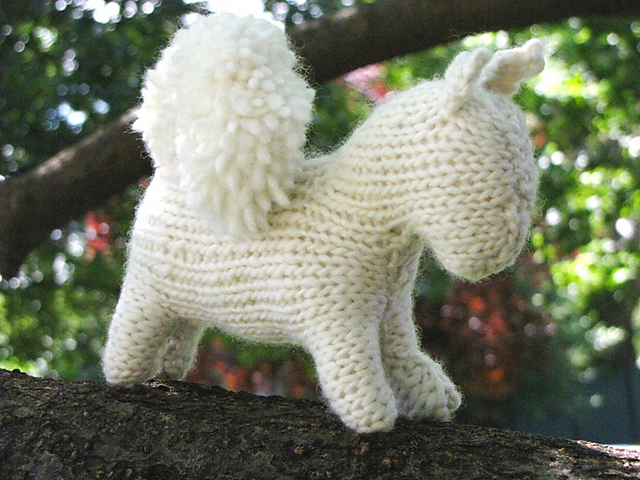 Squirrel