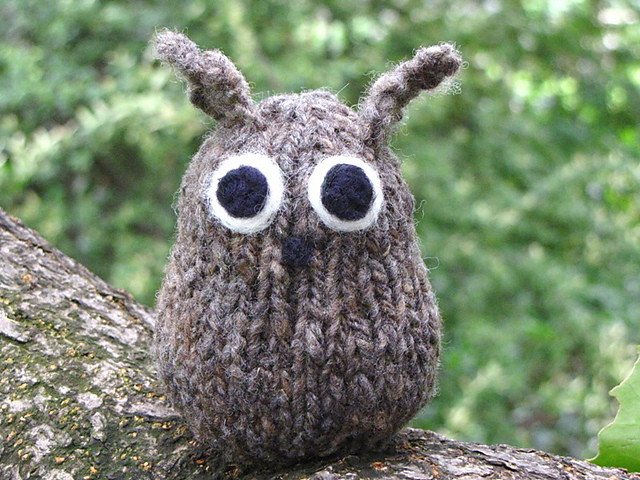Owl