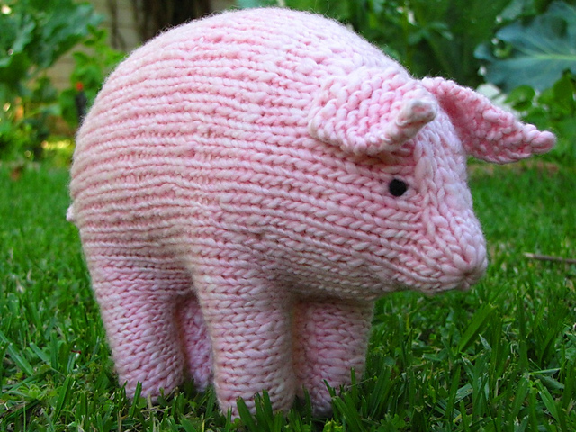 Pig
