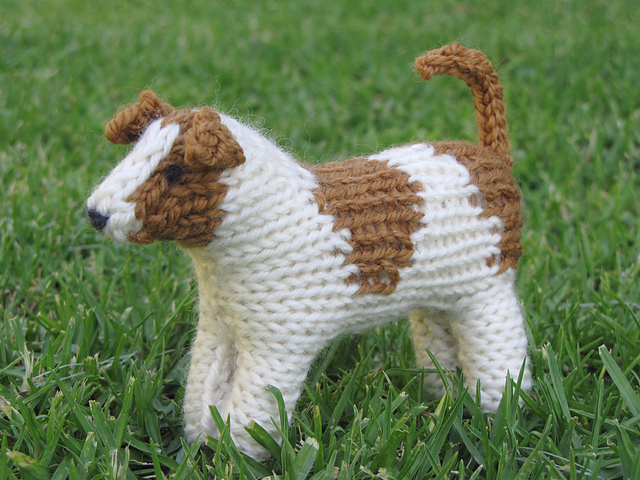 Jack Russell