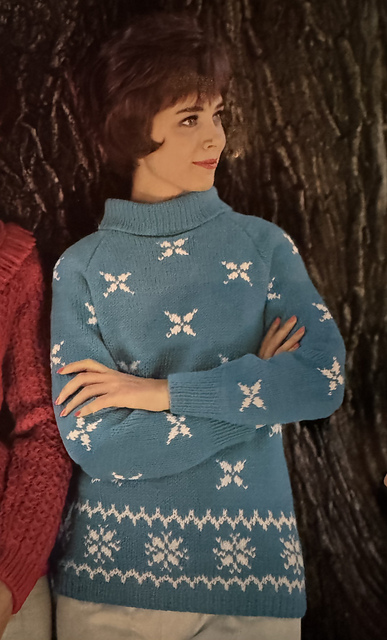 Turtle Neck Pullovers No. 747-6