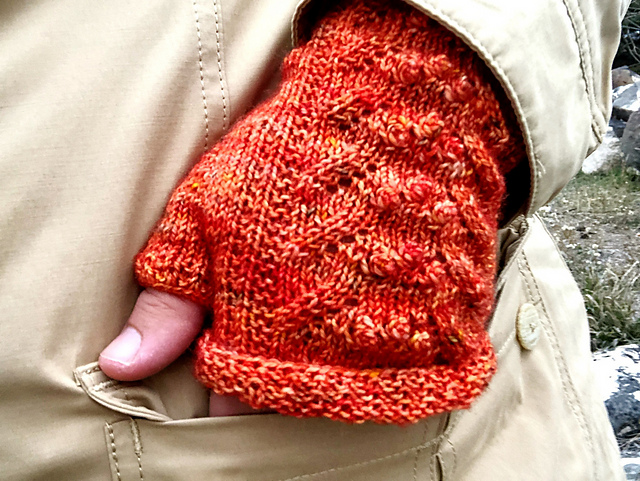 Orchard Spice Mitts