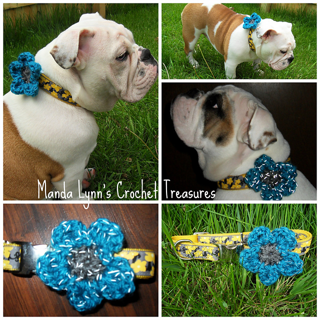 Reflect a Flower Collar