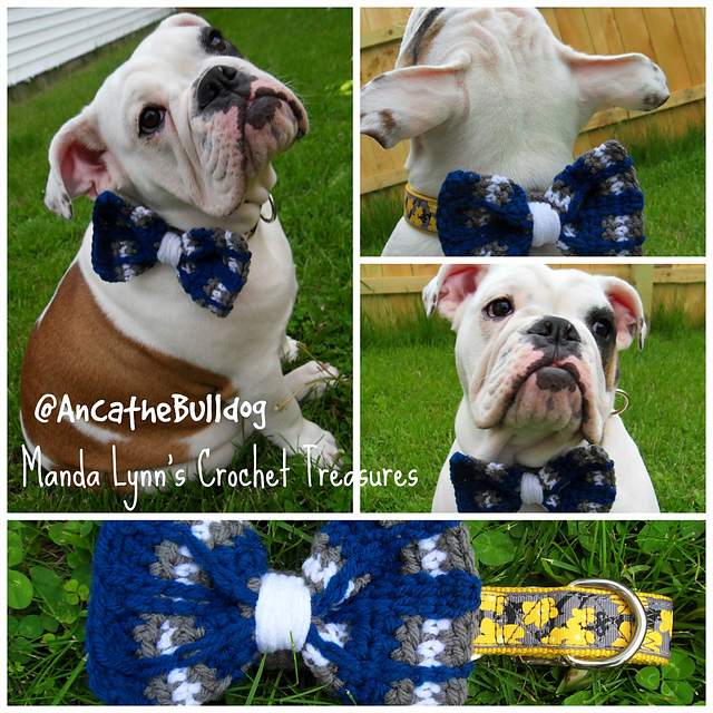 Plaid Bow Collar