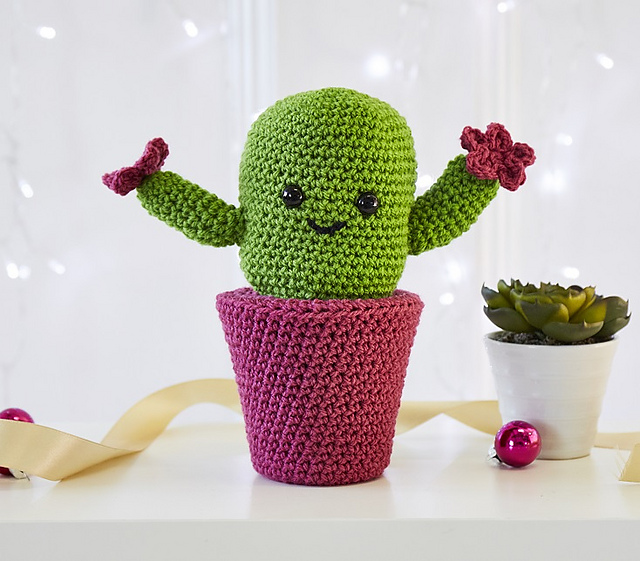 Carolle the cactus