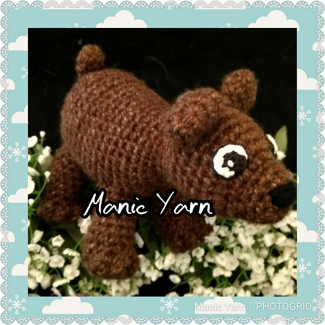 Broccoli Bear