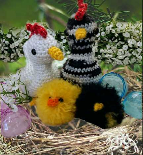 Chicken Chicks and Chickies