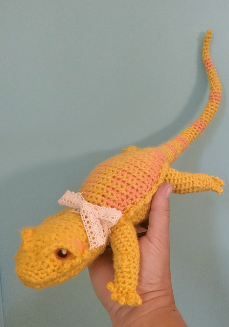 Bruce the Beardie