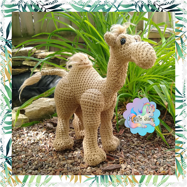 Carl the Camel