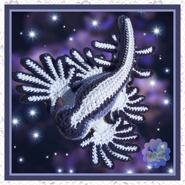 Blue Sea Dragon Nudibranch