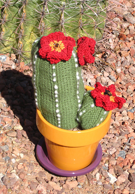 Fantasy Cacti