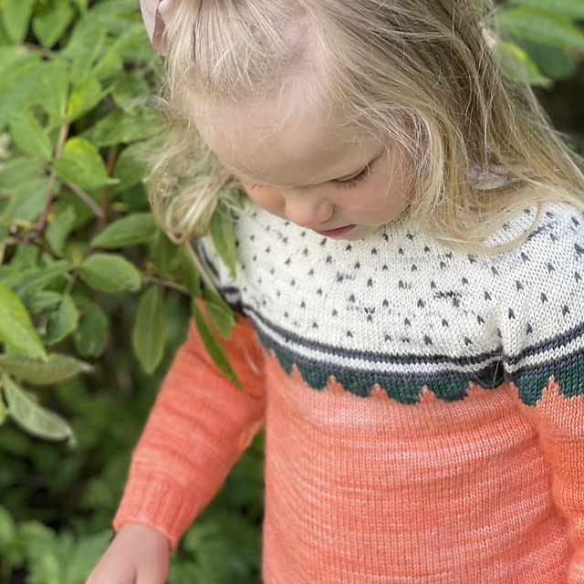 Strawberry Fields Sweater
